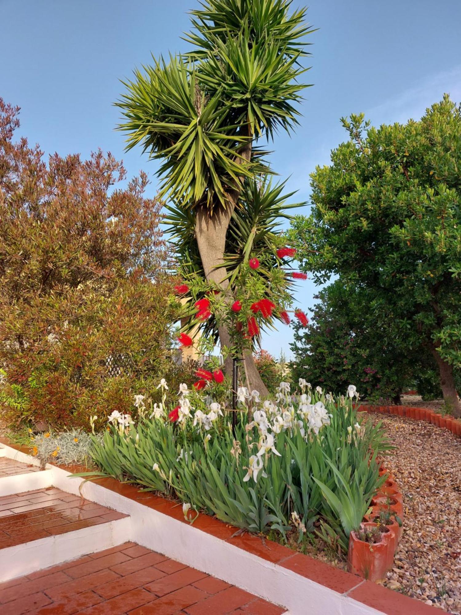 Tavira Vacations Apartments Экстерьер фото